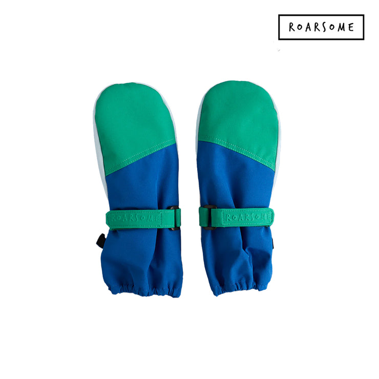 Blue & Green Ski Mittens