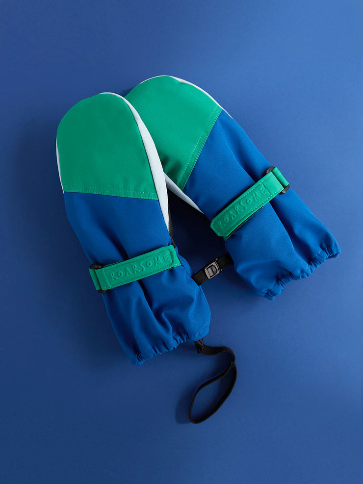 Blue & Green Ski Mittens