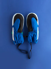 Blue & Green Ski Mittens