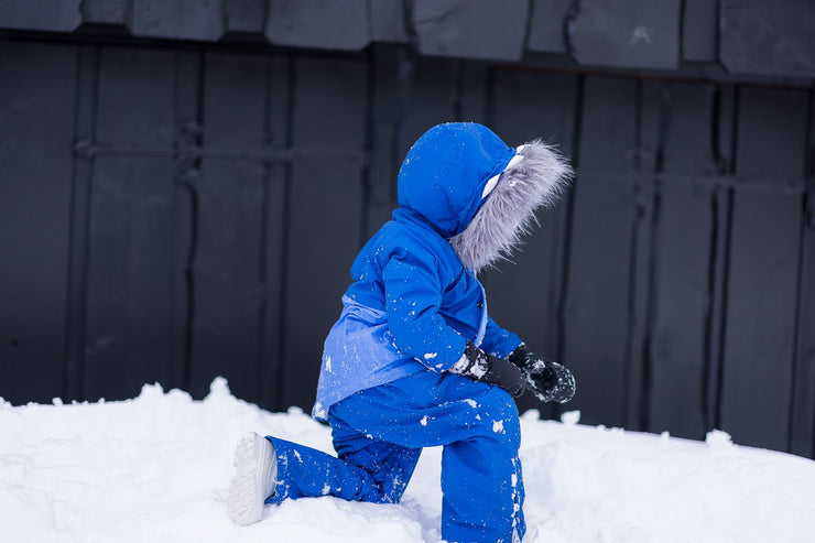 Reef The Shark Ski Jacket