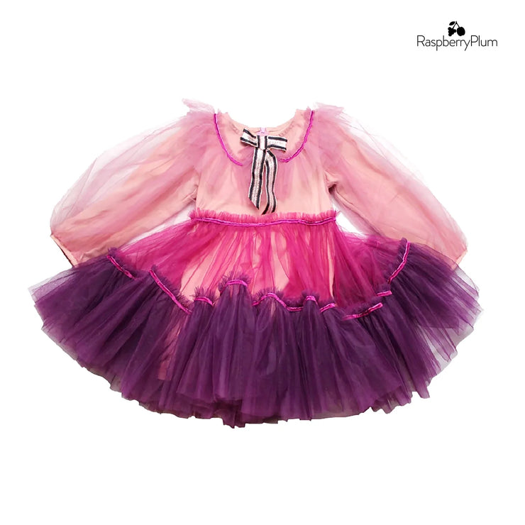 Pink & Purple Tulle Dress