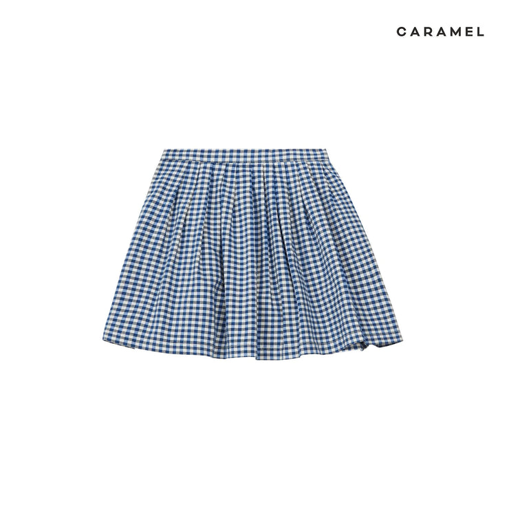 Blue & White Checked Skirt